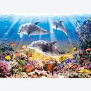 Afbeelding van 500 st - Dolfijnen en de onderwaterwereld (door Castorland)