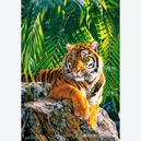 Afbeelding van 500 st - Mooie tijgerin (door Castorland)