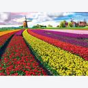 Afbeelding van 1000 st - Nederlandse tulpenvelden (door Eurographics)