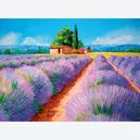 Afbeelding van 500 st - Lavender Scent - High Quality Collection (door Clementoni)