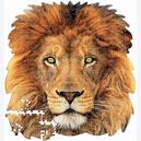Afbeelding van 367 st - Gezicht van een leeuw - Gevormd (door Educa)